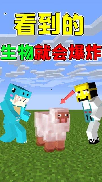 趣味生活爆料怎么做的视频,轻松制作短视频的实用指南